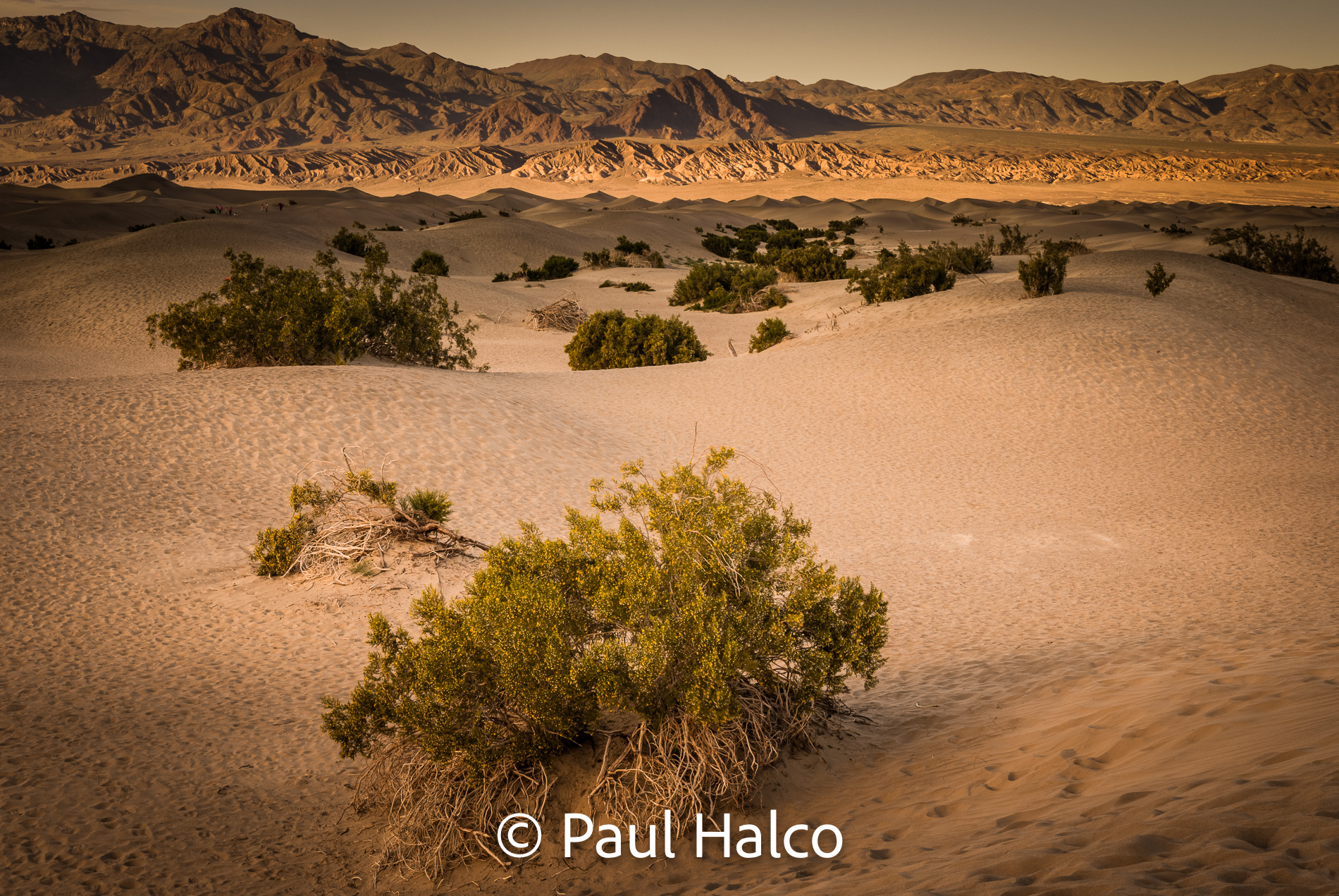 Paul Halco - Death Valley NP-3